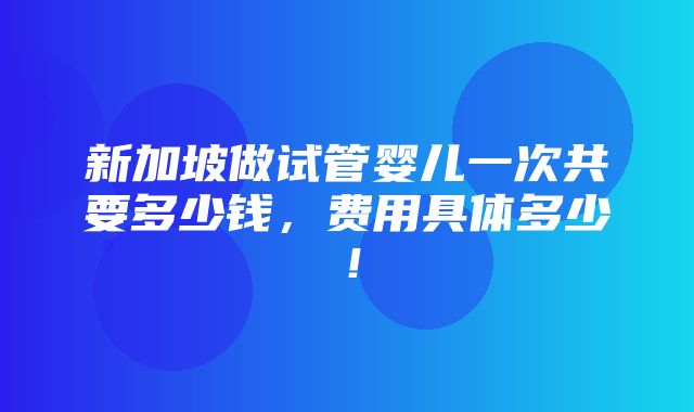 新加坡做试管婴儿一次共要多少钱，费用具体多少！