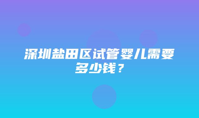 深圳盐田区试管婴儿需要多少钱？