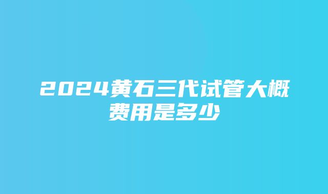 2024黄石三代试管大概费用是多少