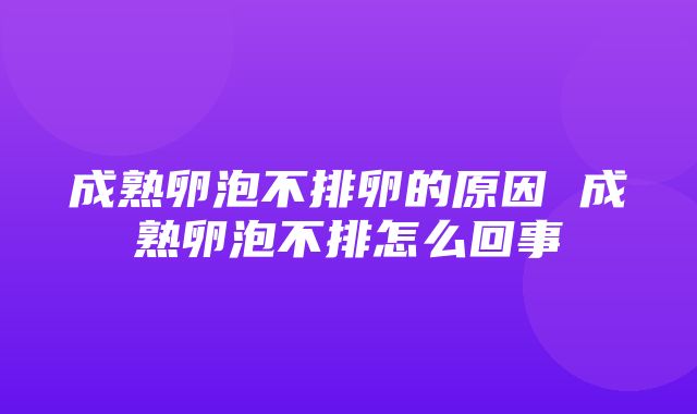 成熟卵泡不排卵的原因 成熟卵泡不排怎么回事