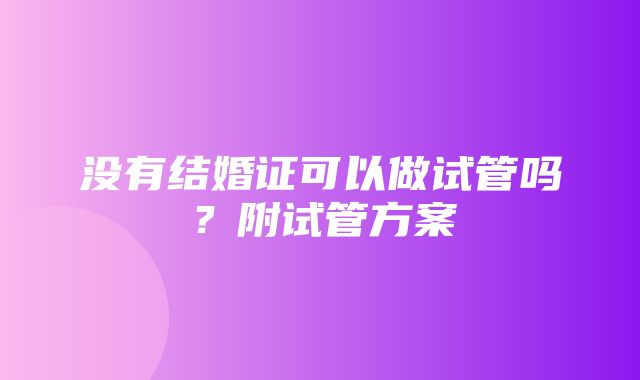 没有结婚证可以做试管吗？附试管方案