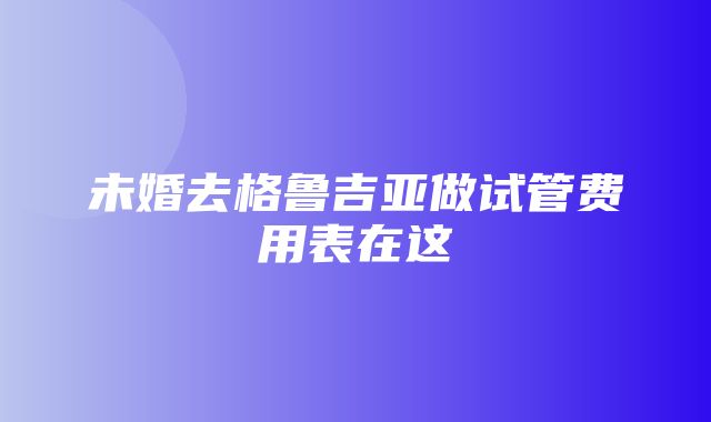 未婚去格鲁吉亚做试管费用表在这