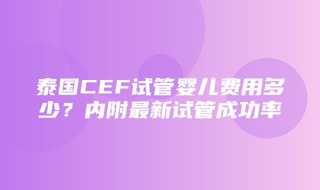 泰国CEF试管婴儿费用多少？内附最新试管成功率