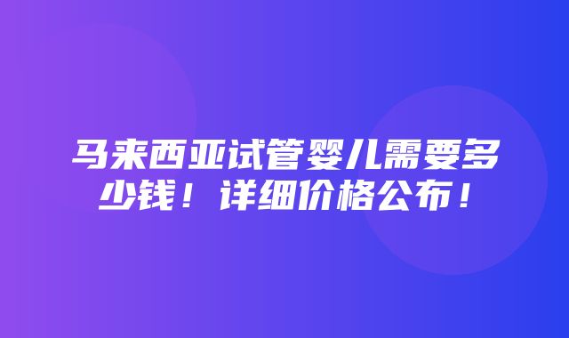 马来西亚试管婴儿需要多少钱！详细价格公布！