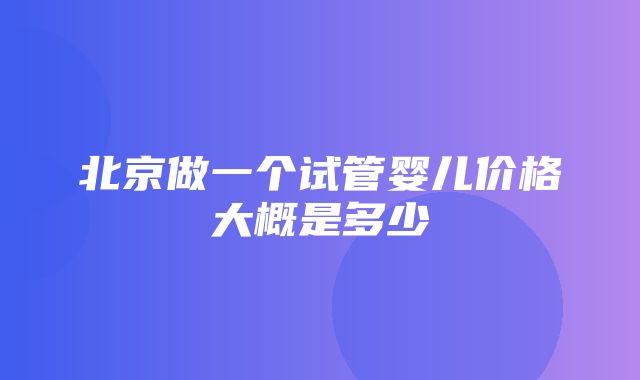 北京做一个试管婴儿价格大概是多少