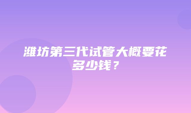 潍坊第三代试管大概要花多少钱？