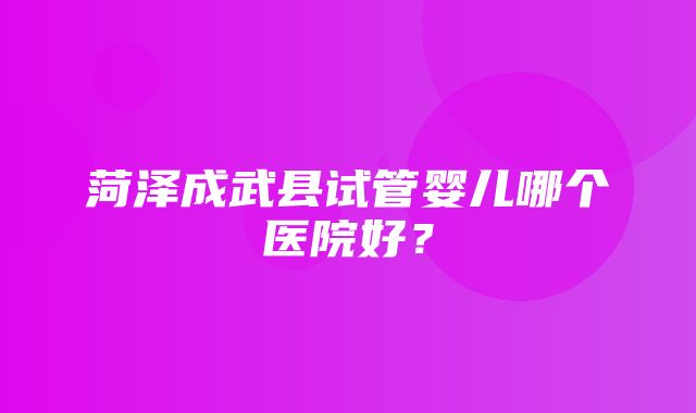 菏泽成武县试管婴儿哪个医院好？