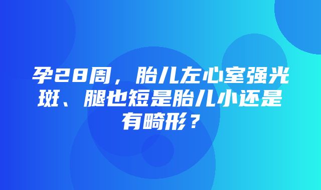 孕28周，胎儿左心室强光斑、腿也短是胎儿小还是有畸形？