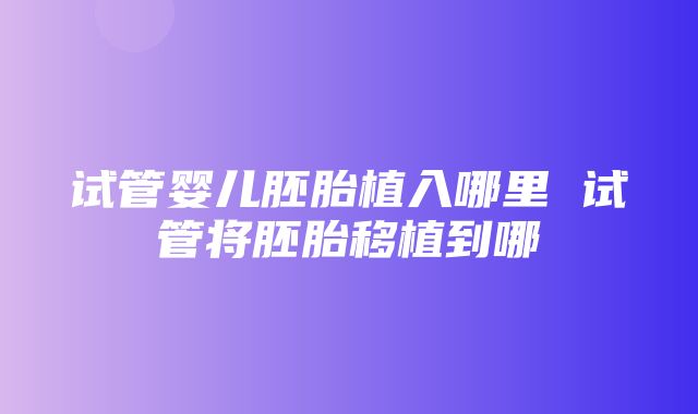 试管婴儿胚胎植入哪里 试管将胚胎移植到哪