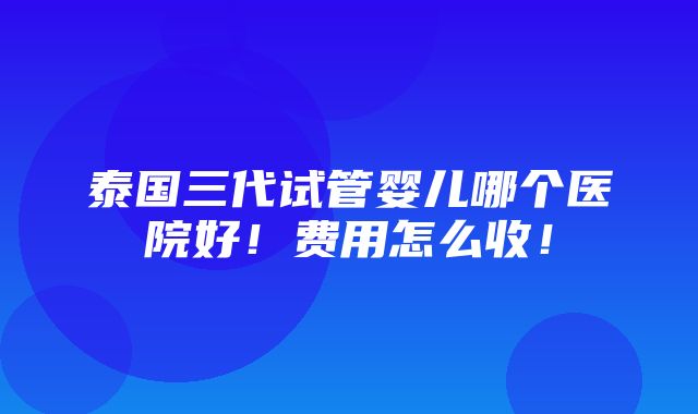 泰国三代试管婴儿哪个医院好！费用怎么收！