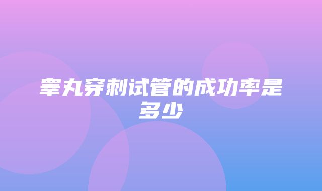 睾丸穿刺试管的成功率是多少