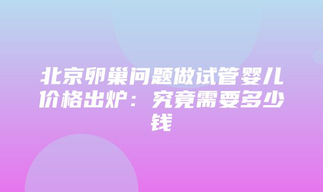 北京卵巢问题做试管婴儿价格出炉：究竟需要多少钱