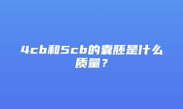 4cb和5cb的囊胚是什么质量？