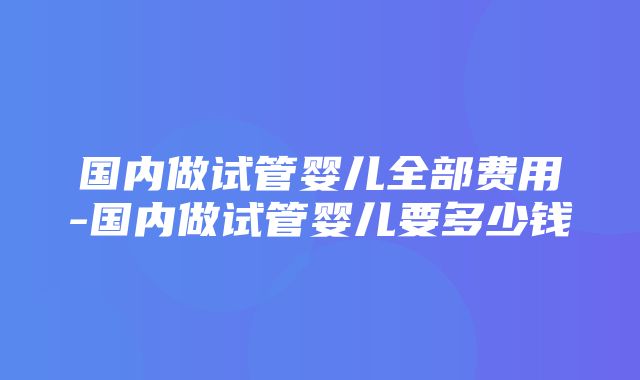 国内做试管婴儿全部费用-国内做试管婴儿要多少钱