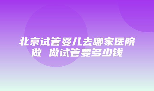 北京试管婴儿去哪家医院做 做试管要多少钱