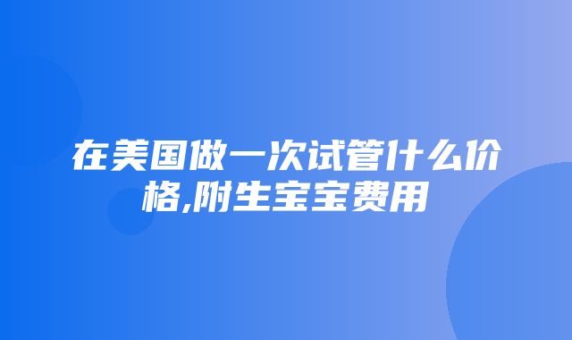 在美国做一次试管什么价格,附生宝宝费用