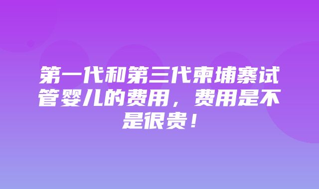 第一代和第三代柬埔寨试管婴儿的费用，费用是不是很贵！