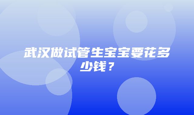 武汉做试管生宝宝要花多少钱？