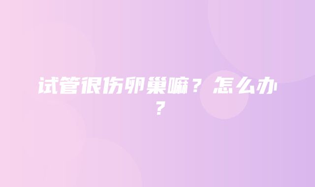 试管很伤卵巢嘛？怎么办？