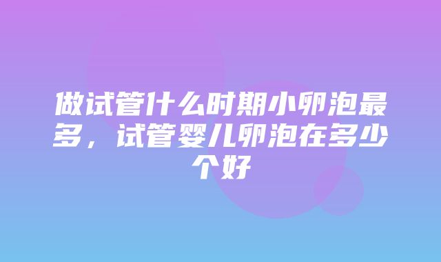 做试管什么时期小卵泡最多，试管婴儿卵泡在多少个好