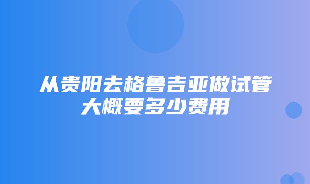 从贵阳去格鲁吉亚做试管大概要多少费用