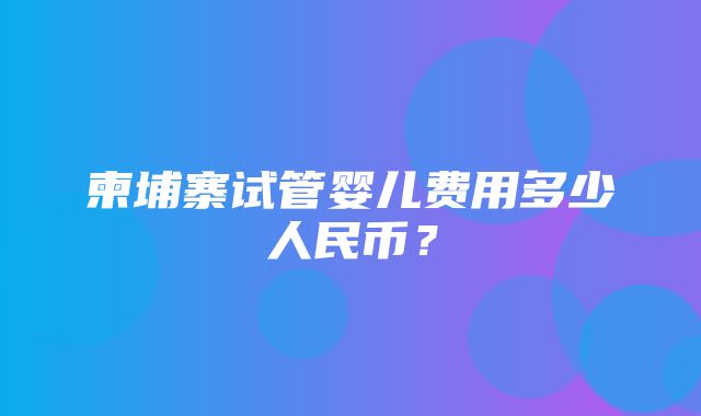 柬埔寨试管婴儿费用多少人民币？