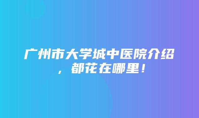 广州市大学城中医院介绍，都花在哪里！