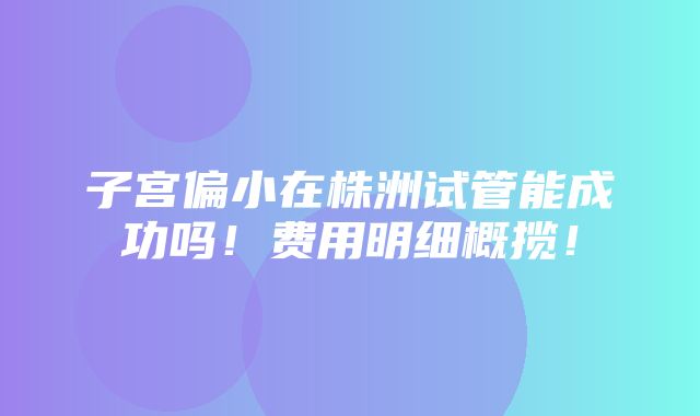 子宫偏小在株洲试管能成功吗！费用明细概揽！