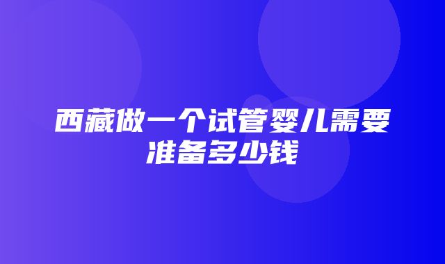 西藏做一个试管婴儿需要准备多少钱