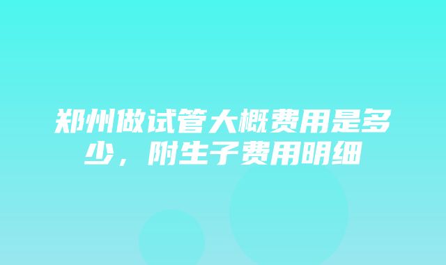 郑州做试管大概费用是多少，附生子费用明细