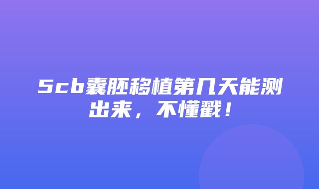 5cb囊胚移植第几天能测出来，不懂戳！