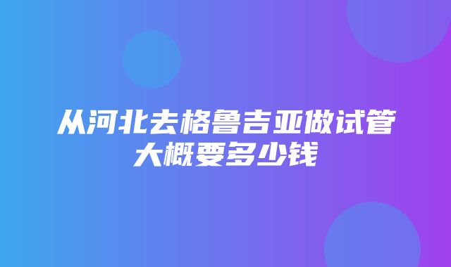 从河北去格鲁吉亚做试管大概要多少钱