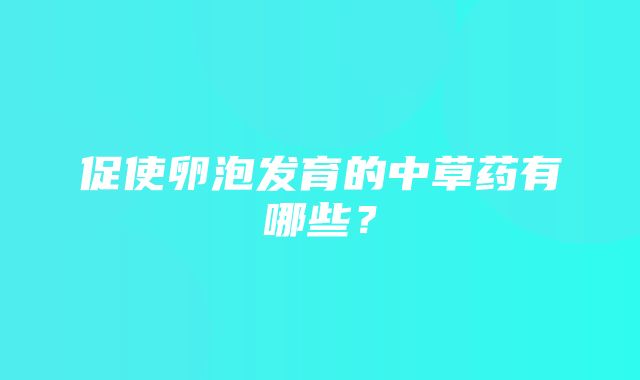 促使卵泡发育的中草药有哪些？