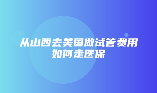 从山西去美国做试管费用如何走医保