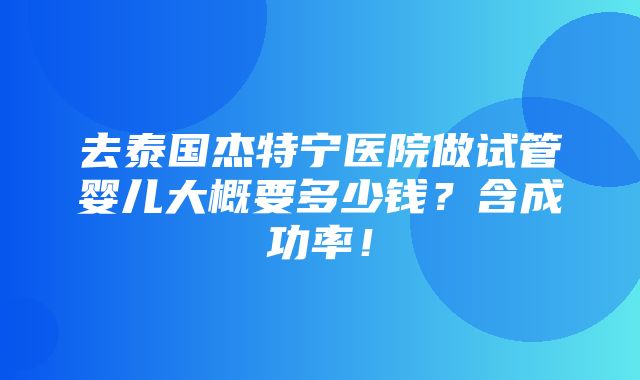 去泰国杰特宁医院做试管婴儿大概要多少钱？含成功率！