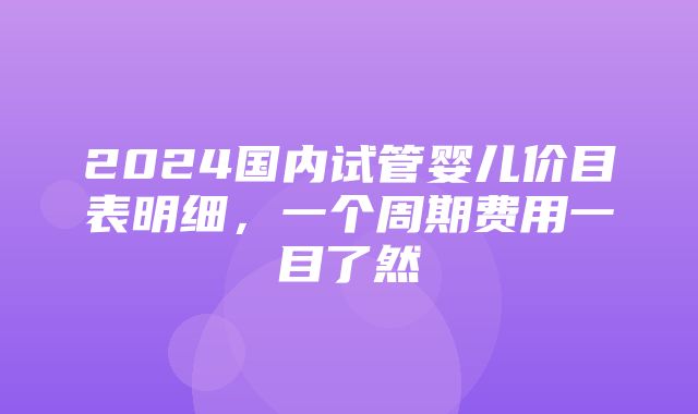 2024国内试管婴儿价目表明细，一个周期费用一目了然