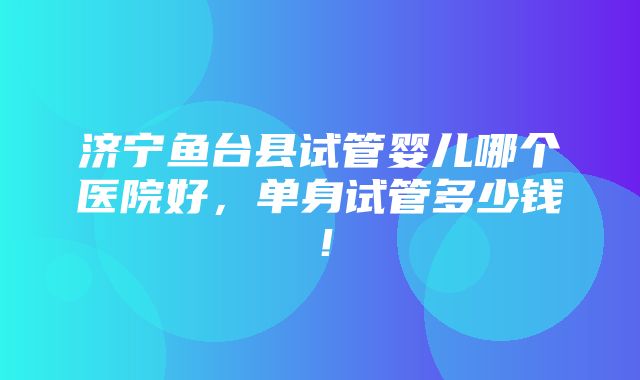 济宁鱼台县试管婴儿哪个医院好，单身试管多少钱！