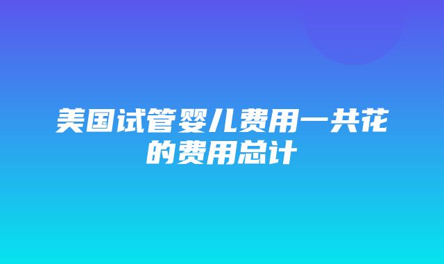 美国试管婴儿费用一共花的费用总计