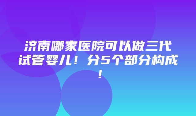 济南哪家医院可以做三代试管婴儿！分5个部分构成！