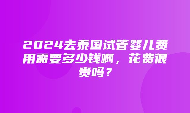 2024去泰国试管婴儿费用需要多少钱啊，花费很贵吗？