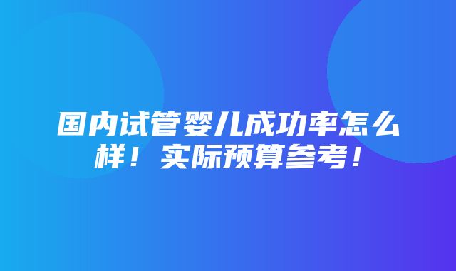 国内试管婴儿成功率怎么样！实际预算参考！