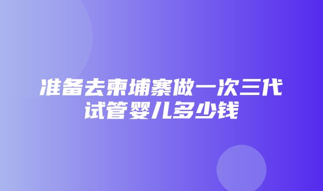 准备去柬埔寨做一次三代试管婴儿多少钱