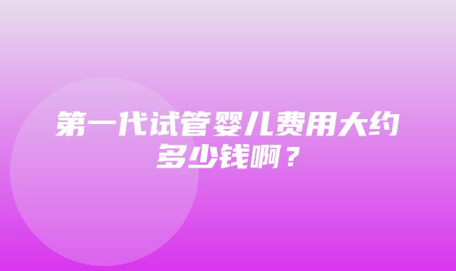 第一代试管婴儿费用大约多少钱啊？