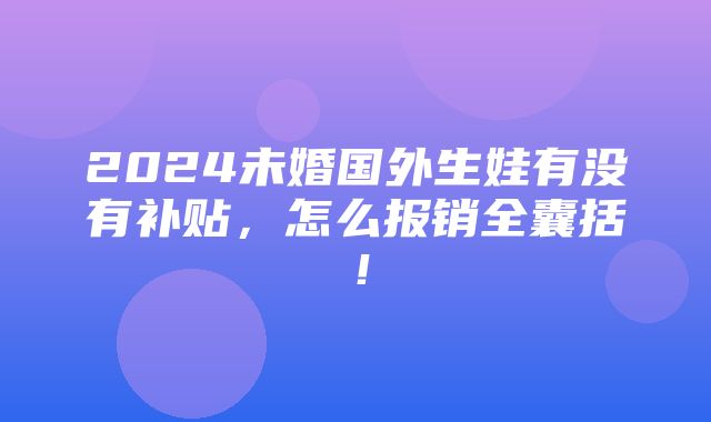 2024未婚国外生娃有没有补贴，怎么报销全囊括！