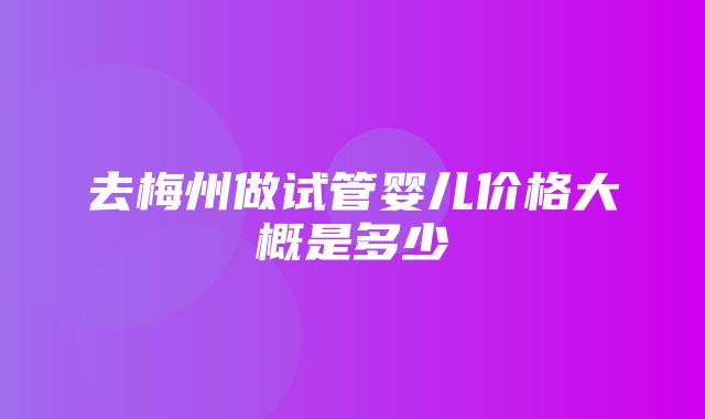 去梅州做试管婴儿价格大概是多少