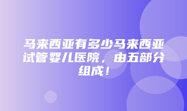 马来西亚有多少马来西亚试管婴儿医院，由五部分组成！