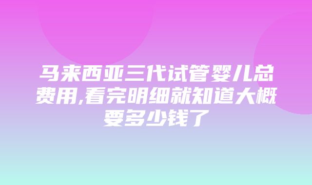 马来西亚三代试管婴儿总费用,看完明细就知道大概要多少钱了