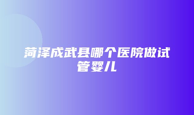 菏泽成武县哪个医院做试管婴儿