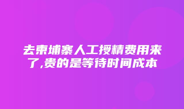 去柬埔寨人工授精费用来了,贵的是等待时间成本