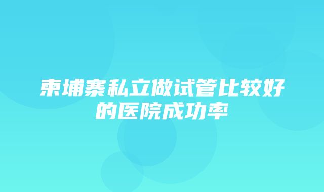 柬埔寨私立做试管比较好的医院成功率